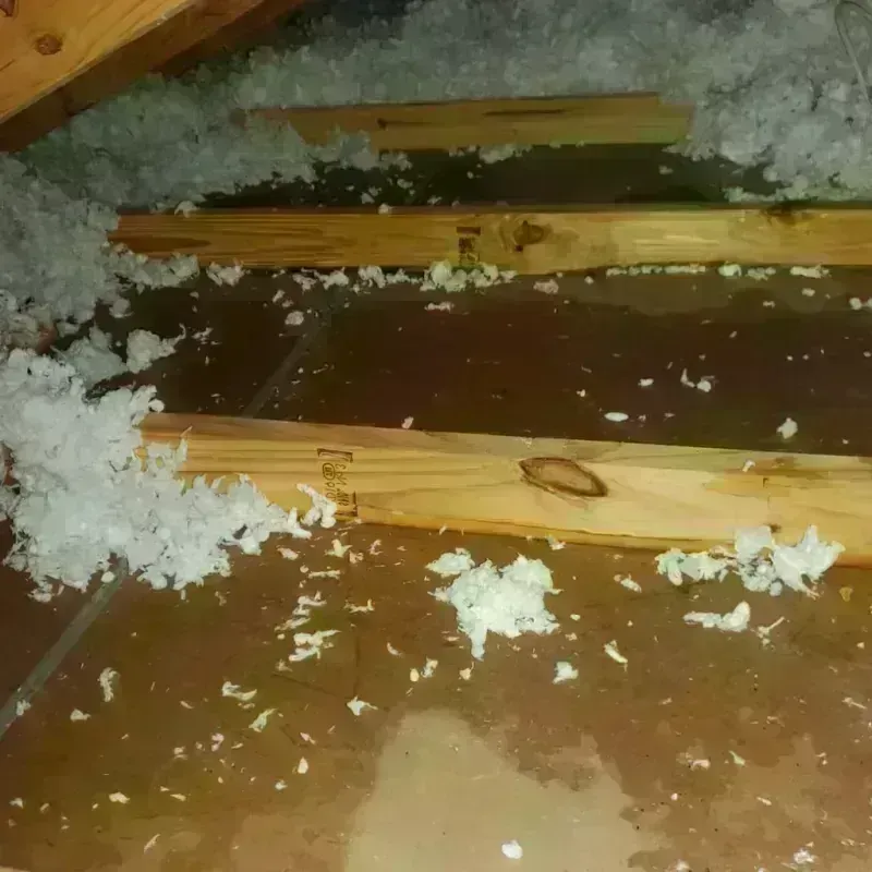 Attic Water Damage in Santa Rosa, NM